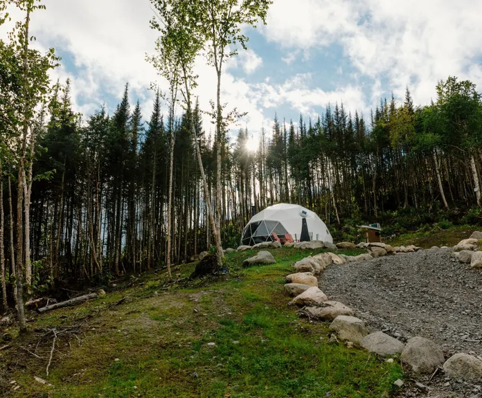 white geodesic dome in front of forest