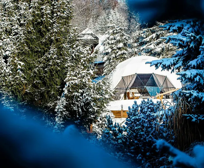 white geodesic dome between snowy trees
