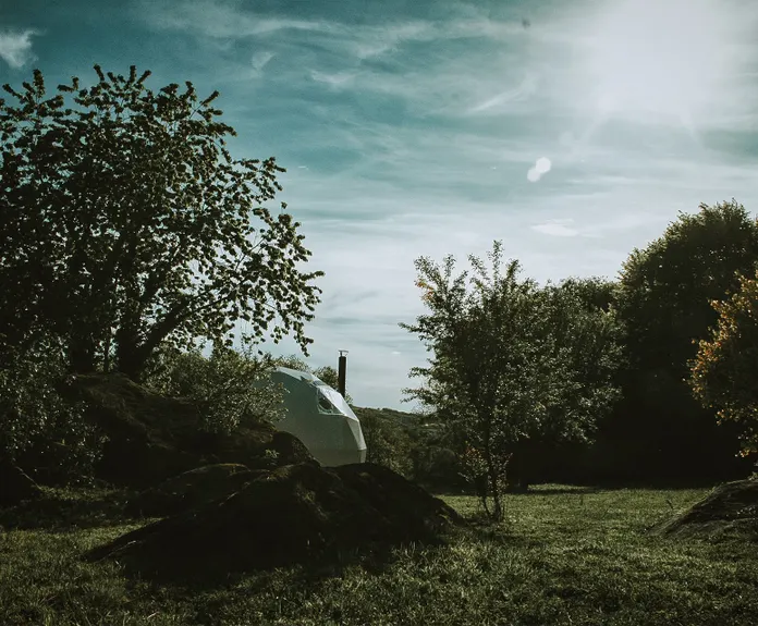 white geodesic dome on the field with some trees