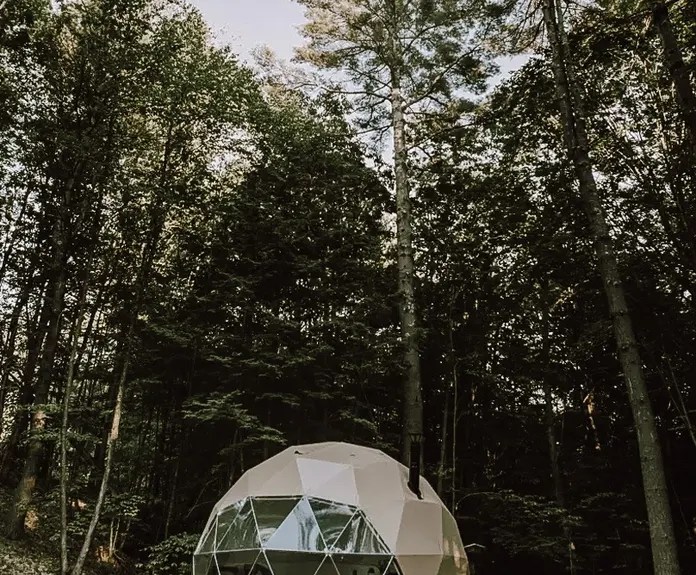 white geodesic dome with stack in forest