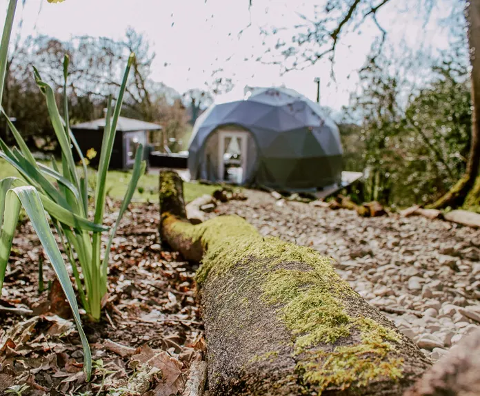 green geodesic dome with stack in forest