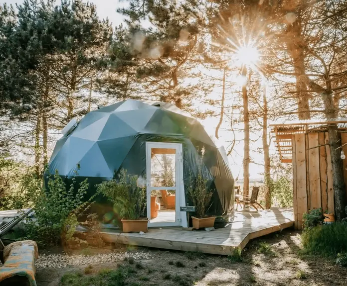 green geodesic dome in the forest