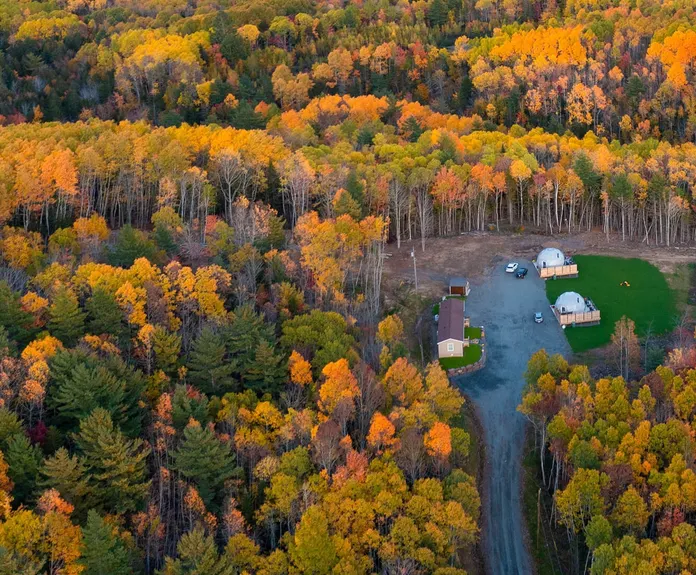 two geodesic dome in the middle of forest