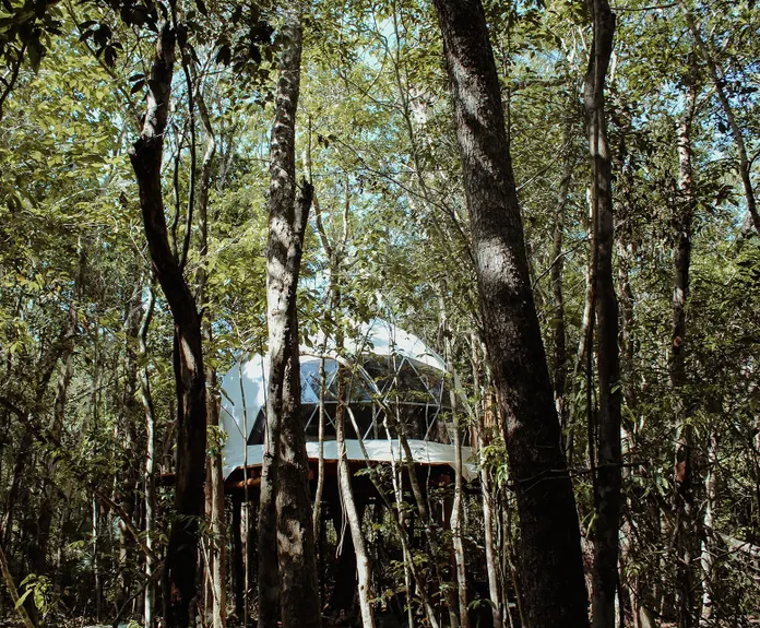 white glamping geodesic dome in behind the trees in the wood