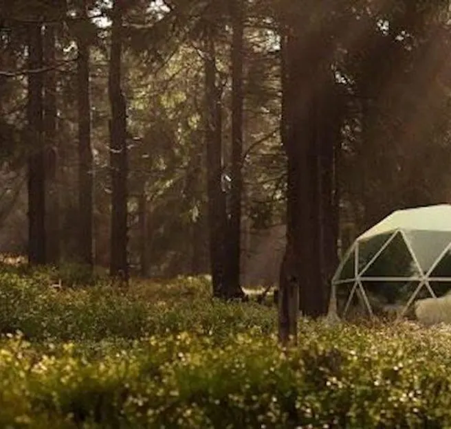 https://fdomes.com/geodesic-dome-kits-domes-and-accessories-to-love/