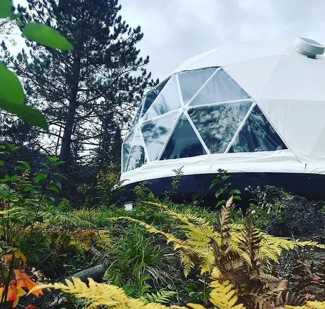white geodesic dome in a forest