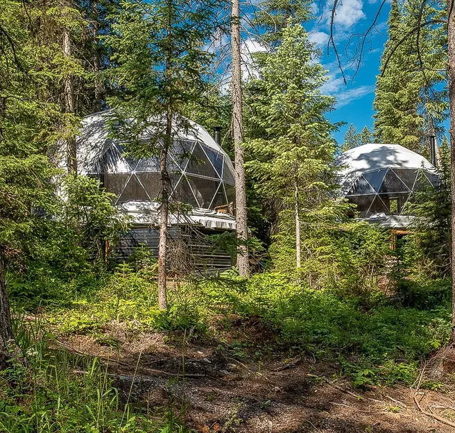 two white geodesic domes in the forest