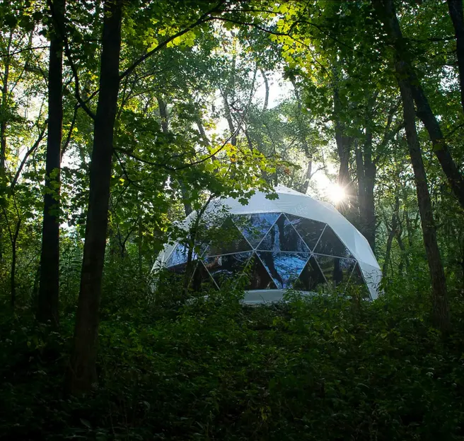 white geodesic dome in the forest