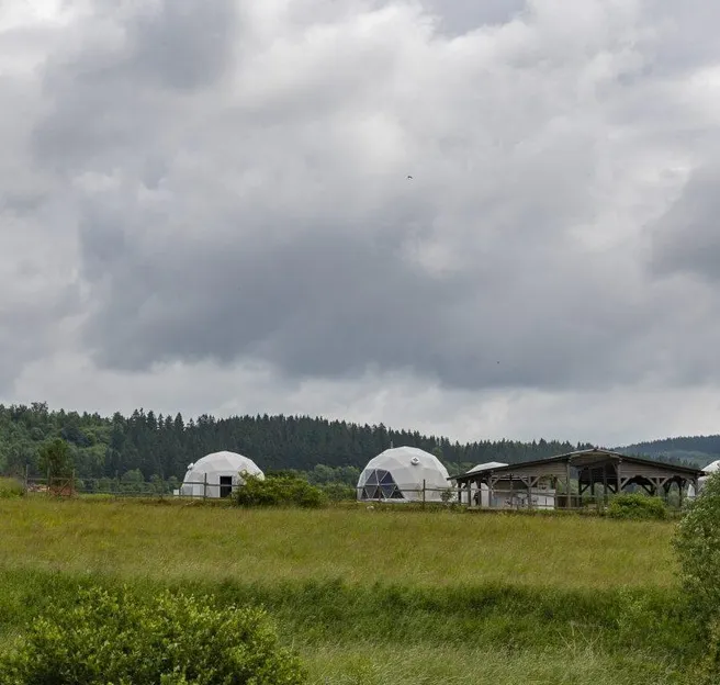 white geodesic dome on the field