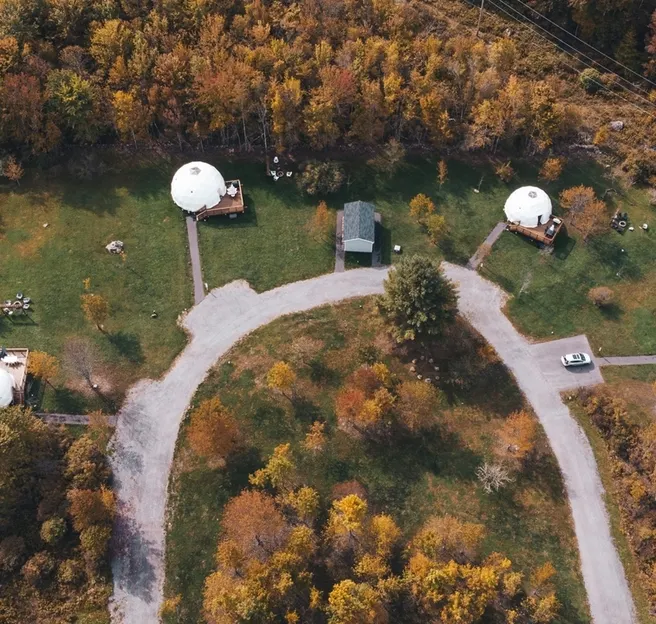 four white geodesic domes in the forest
