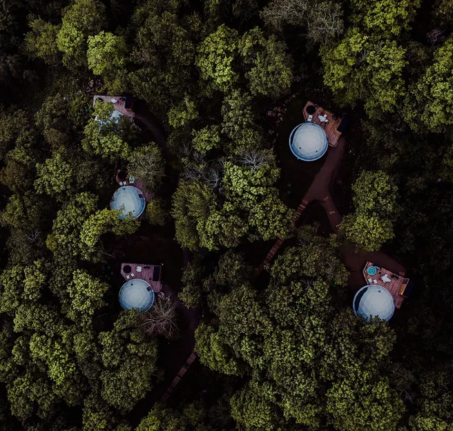 white geodesic domes in forest