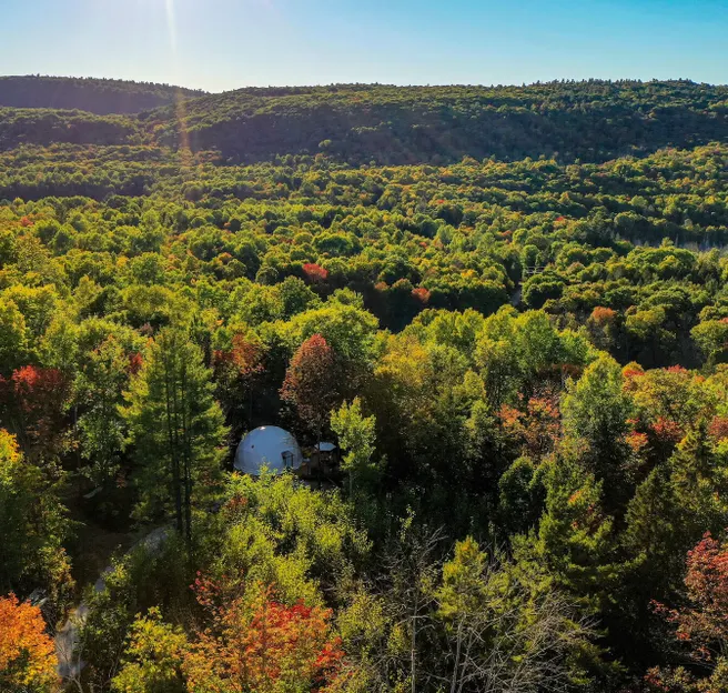 white geodesic dome in the middle of forest