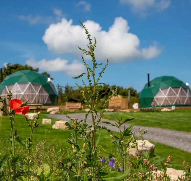 FDomes_Glamping_at_Brynteg_United_Kingdom