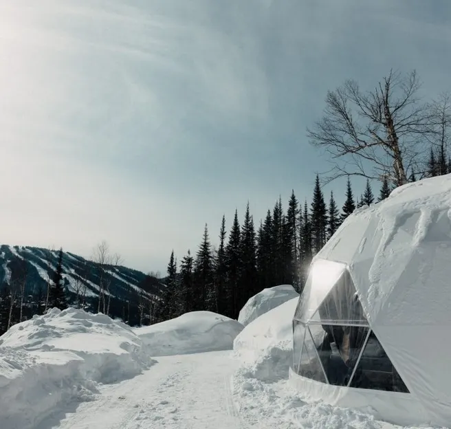 white geodesic dome on snowy field