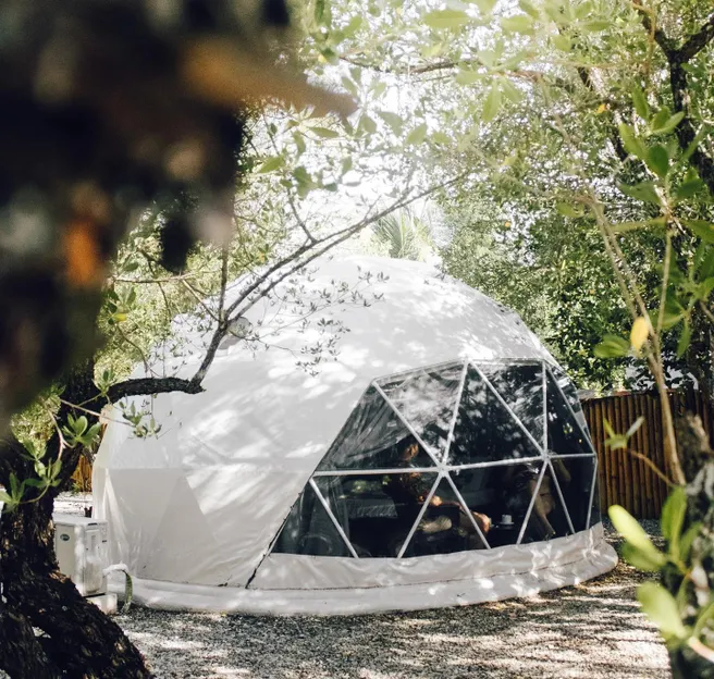 glamping dome at the day between woods
