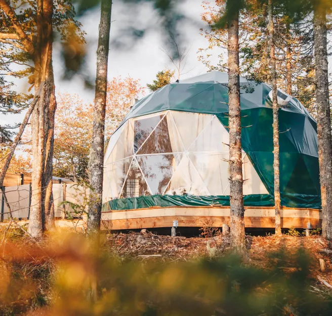 green geodesic dome in forest