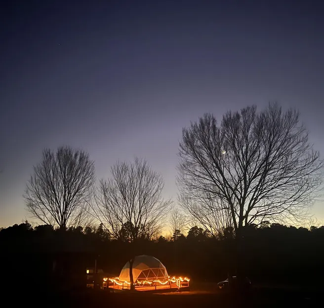 white geodesic dome at night surrounded by lights and trees