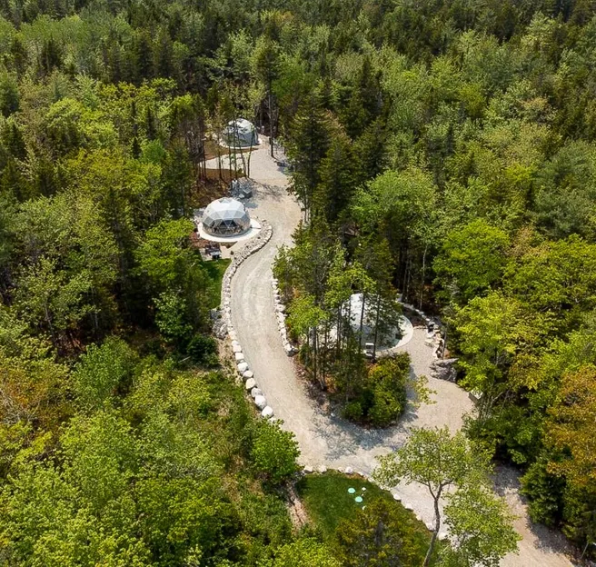 three white geodesic dome in the middle of forest