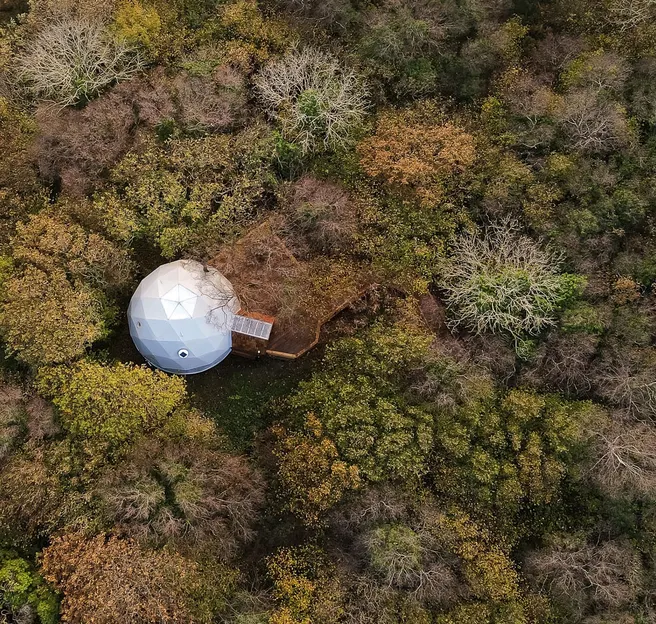 white geodesic dome in the middle of forest