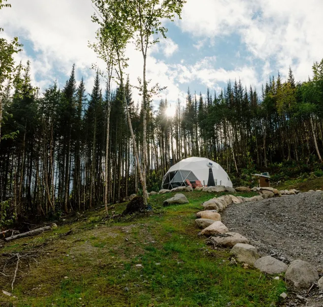 white geodesic dome in front of forest