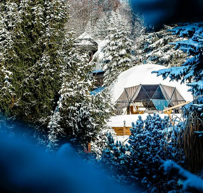 white geodesic dome between snowy trees