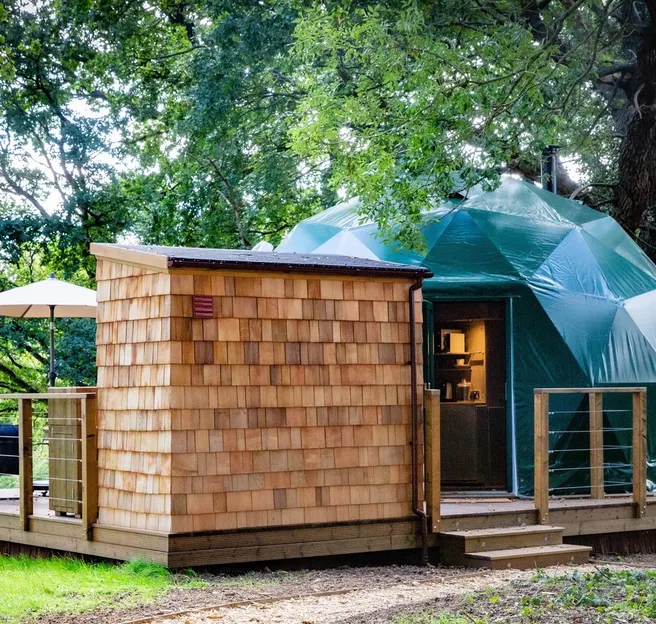 back of green geodesic dome on wooden platform in forest