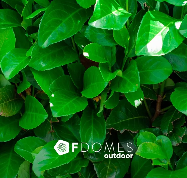 Introducing FDomes Outdoor: Elevate Your Outdoor Living Experience
