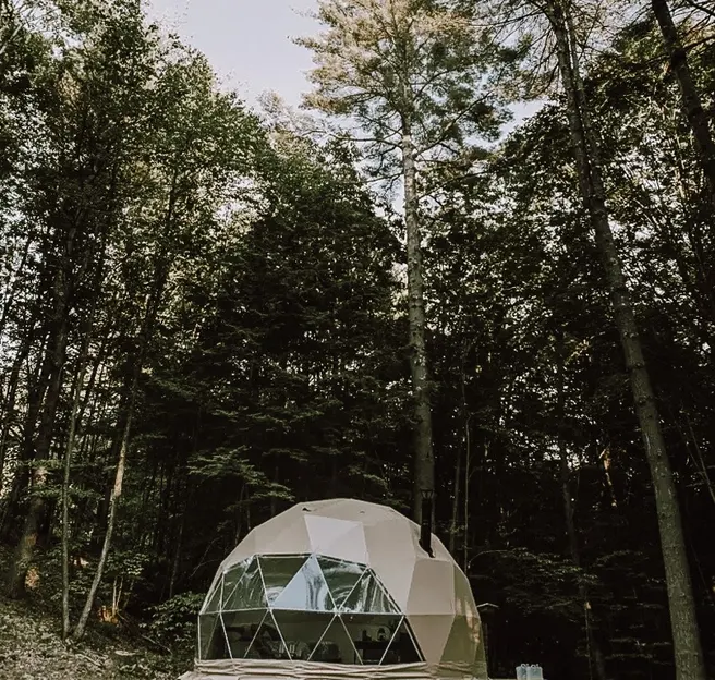 white geodesic dome with stack in forest