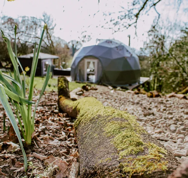 green geodesic dome with stack in forest