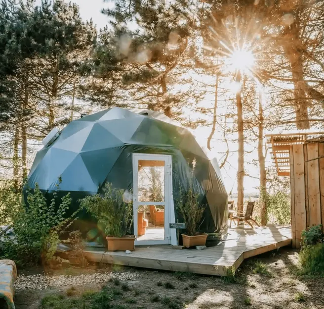 green geodesic dome in the forest