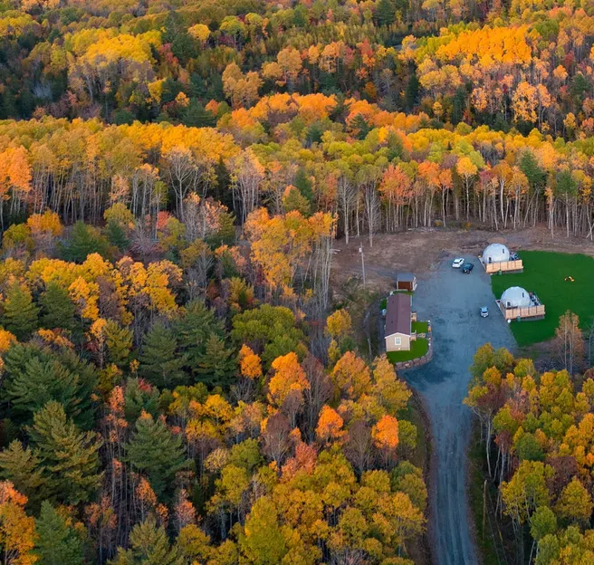 two geodesic dome in the middle of forest