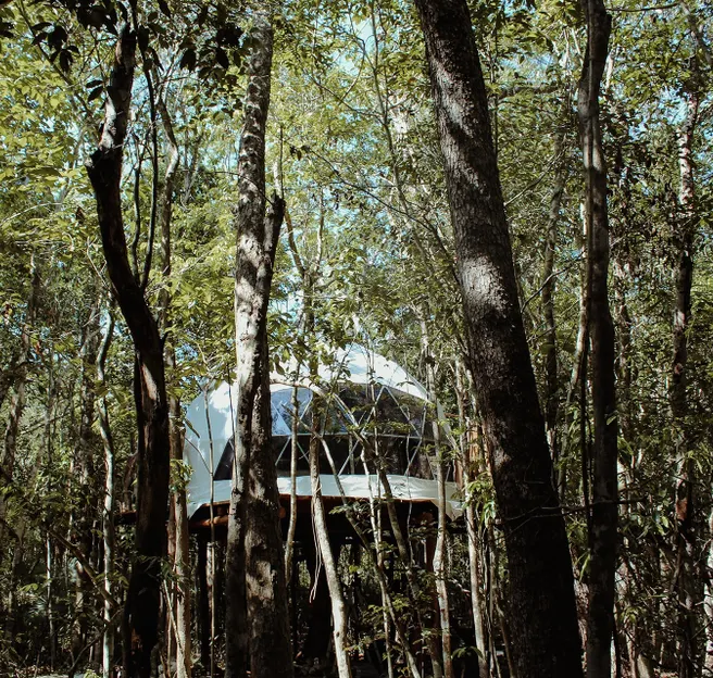 white glamping geodesic dome in behind the trees in the wood