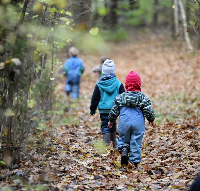 Children attending the forest kindergarten 