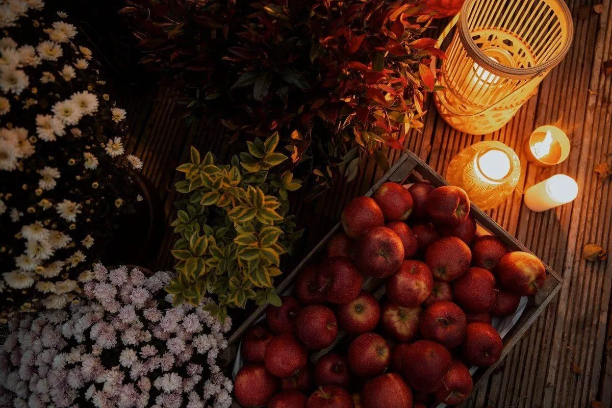 Autumn decorations FDomes