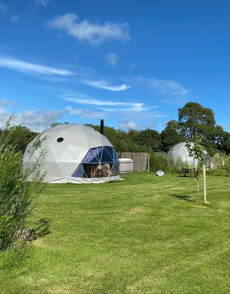 green geodesic domes with stack in forest