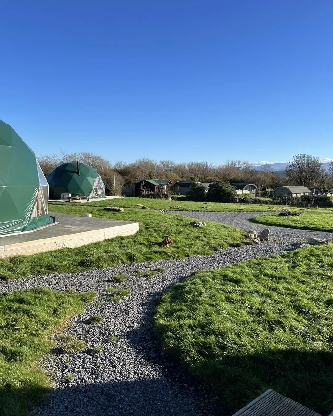 two green geodesic domes on the field