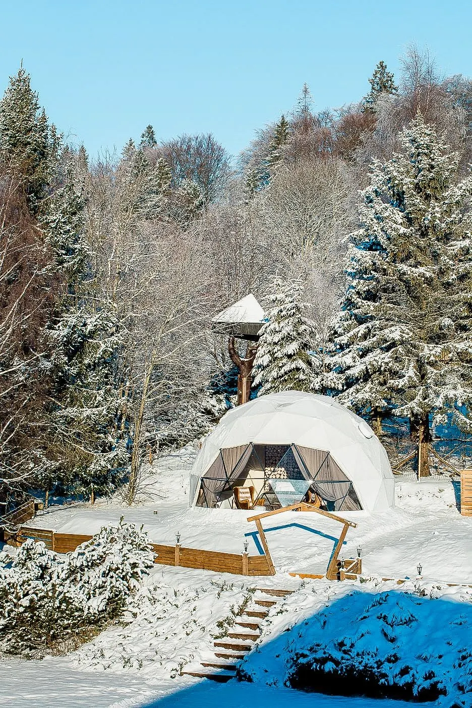 white geodesic dome between snowy trees