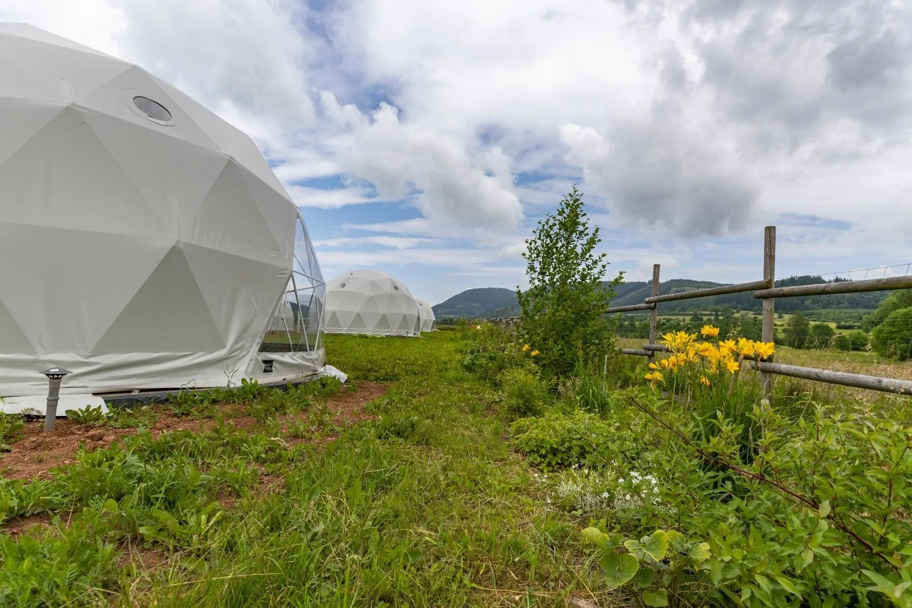 white geodesic dome on the field