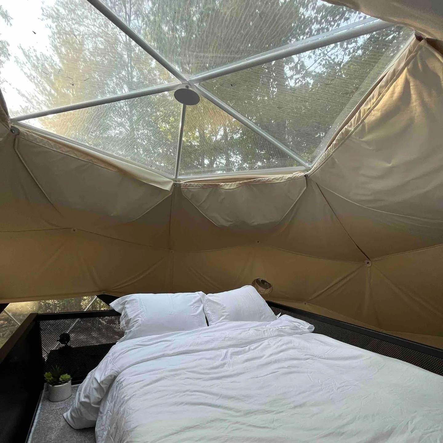 White bed beneath a panoramic skylight inside a geodesic glamping dome.