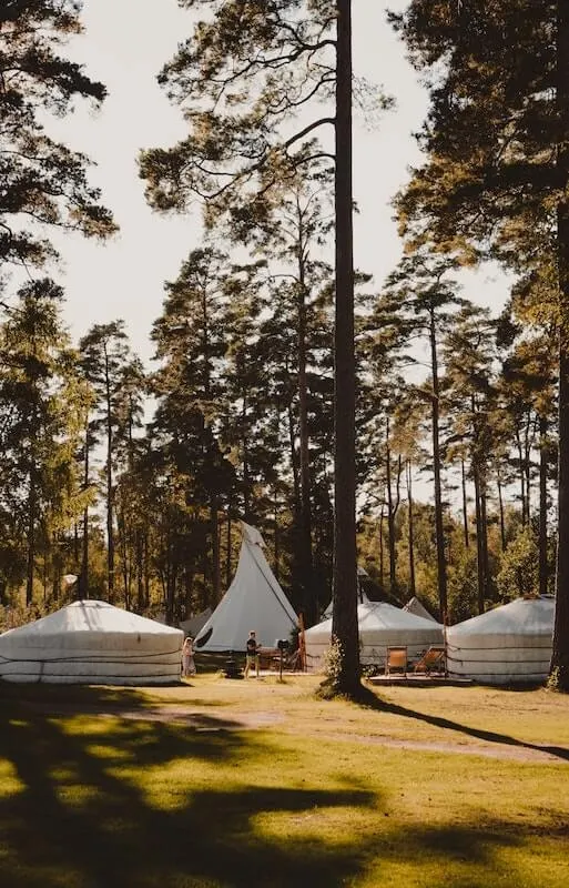glamping site woods