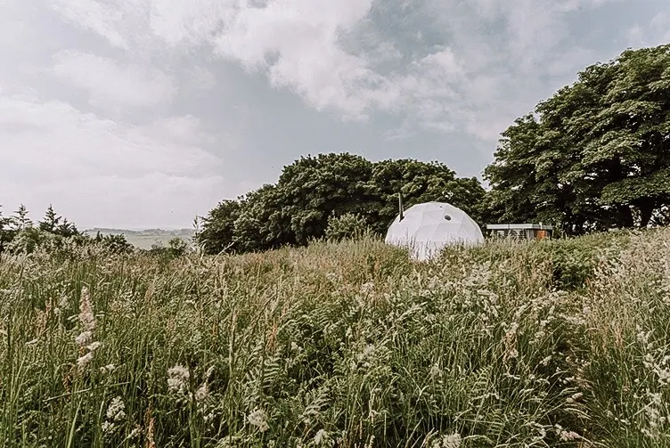 white geodesic dome with stack in forest