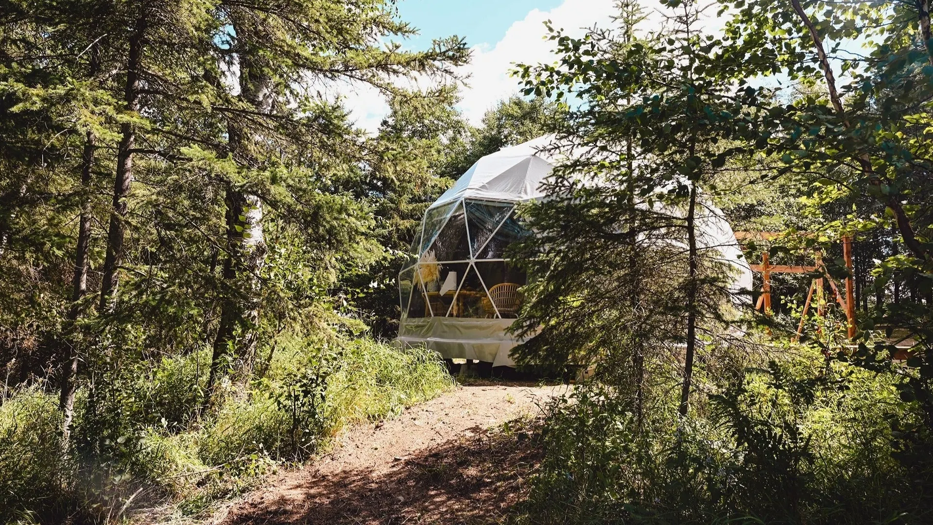 white geodesic dome in forest