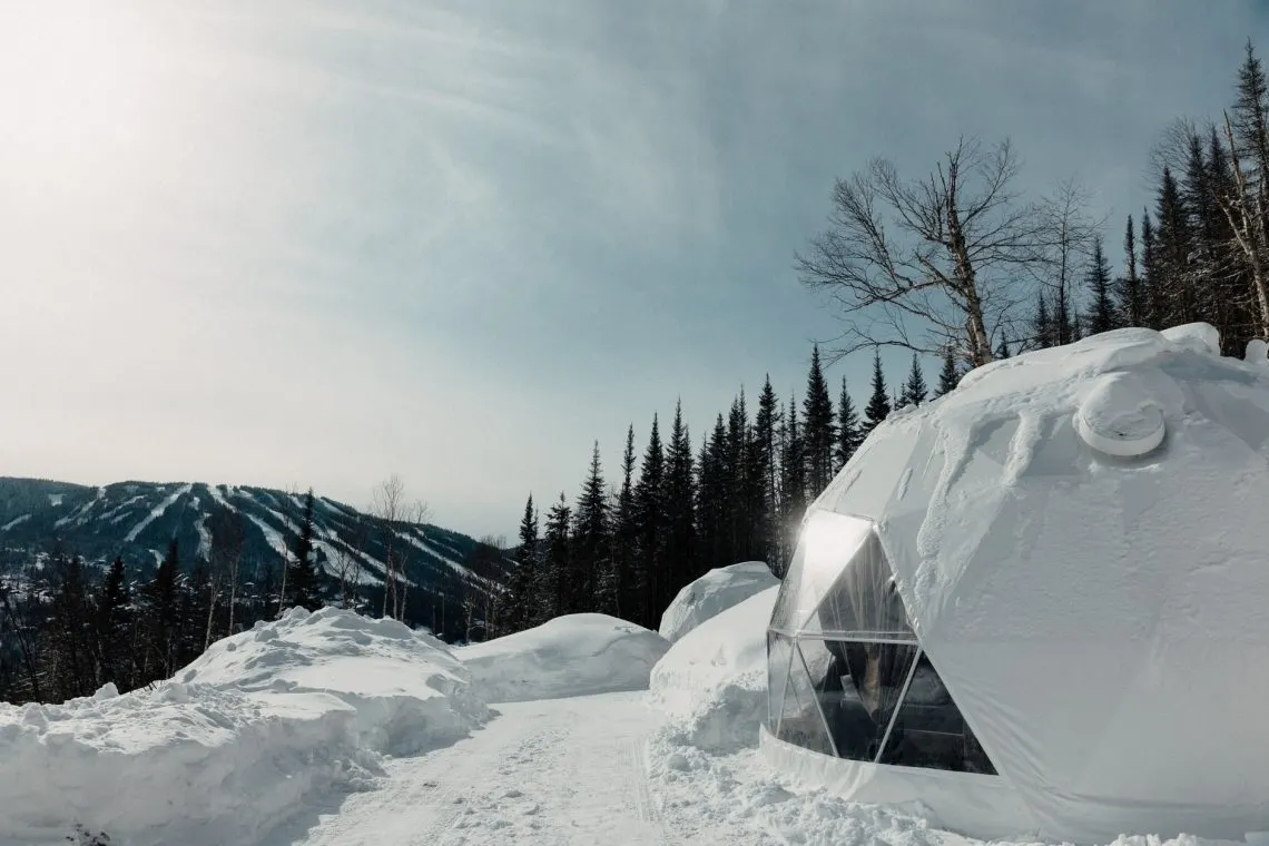 white geodesic dome on snowy field
