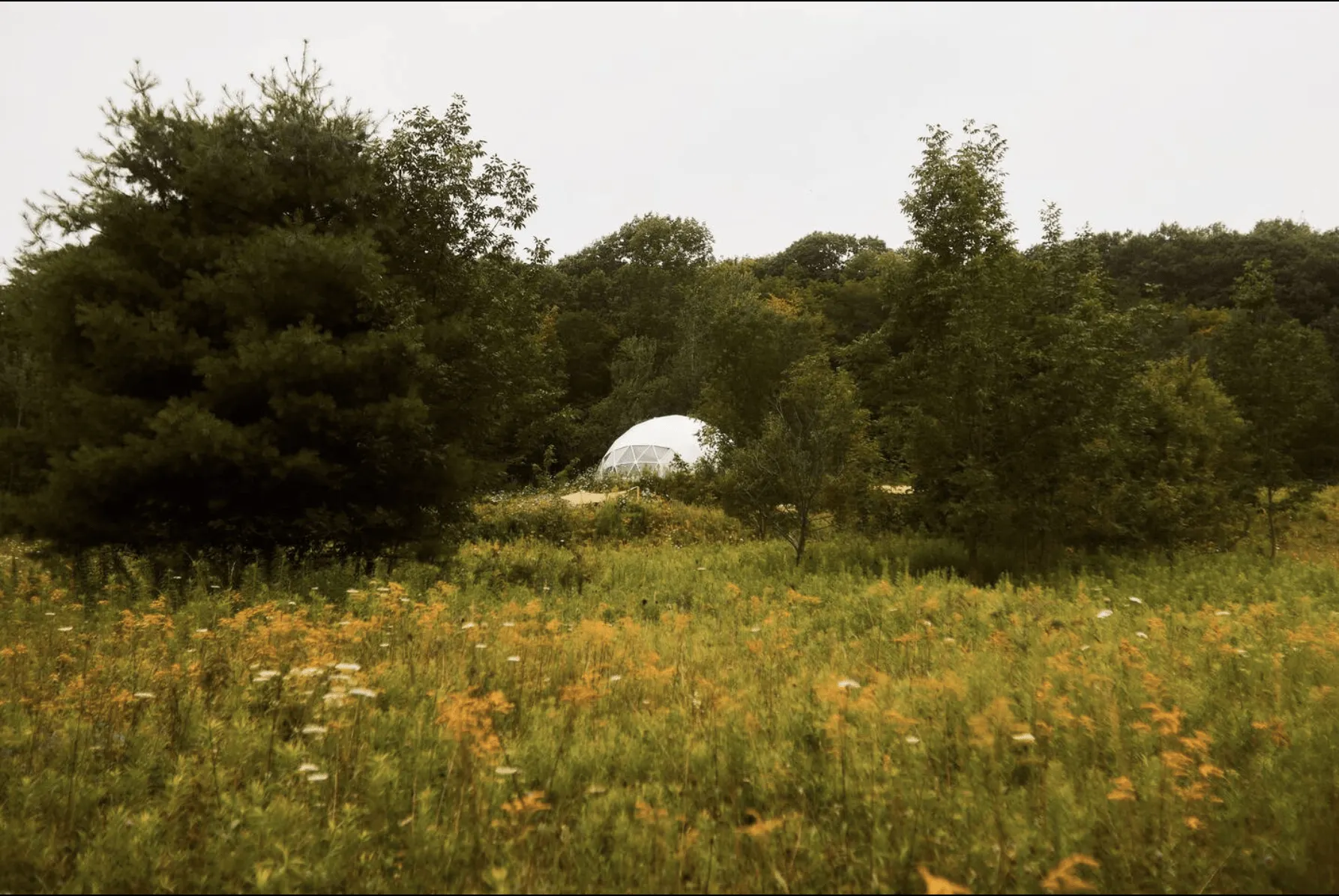 white geodesic dome on the field near forest
