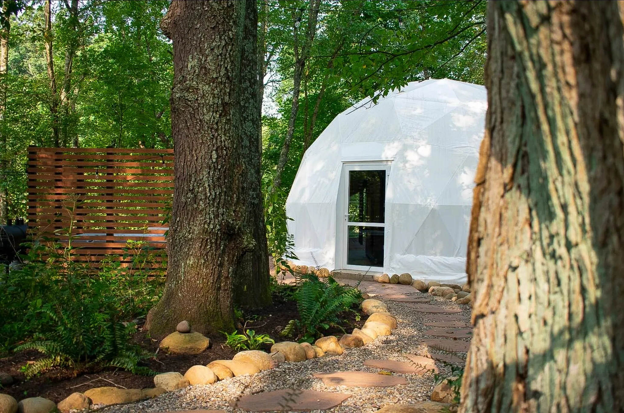 a path to white geodesic dome in the forest