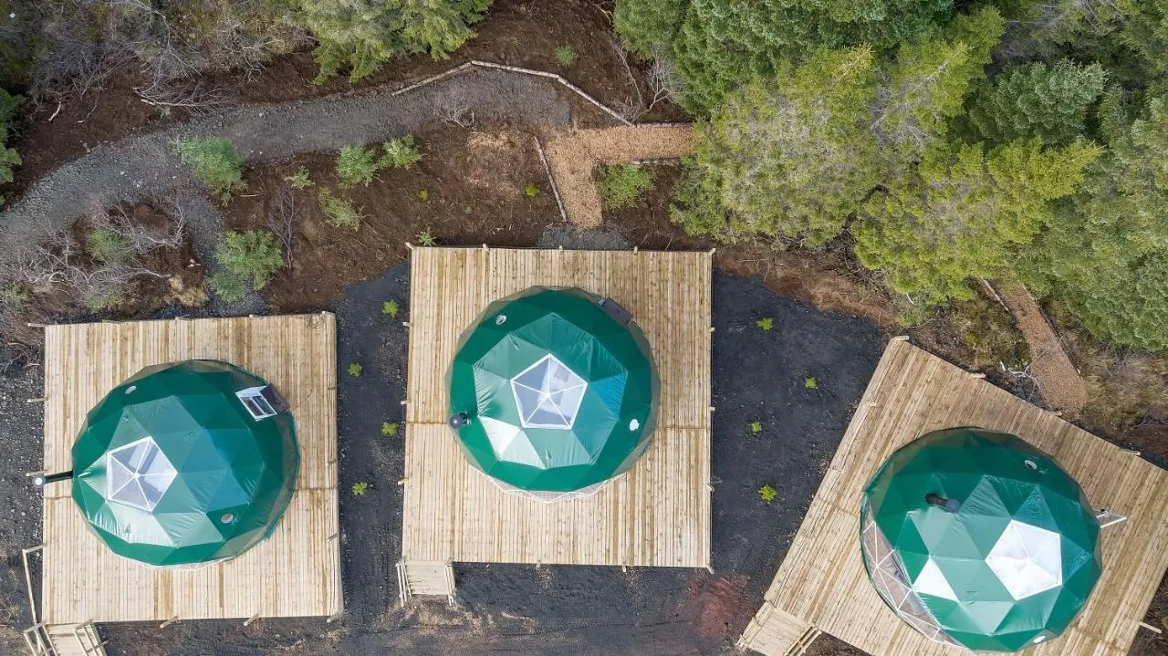 three green geodesic domes on wooden platforms in the forest during the day