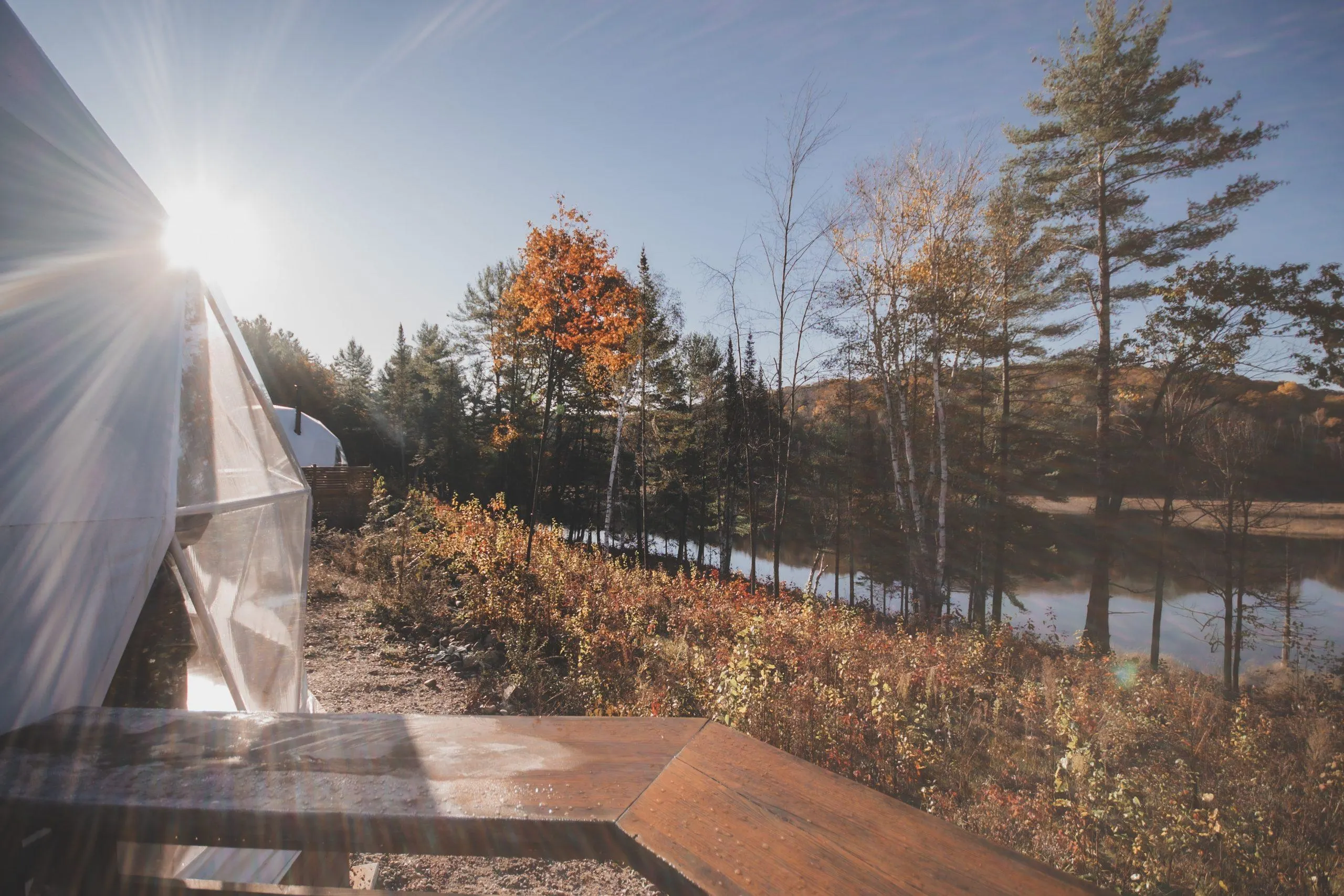 white geodesic dome in autumn