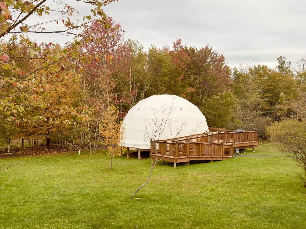 white dome woods Unique Escapes 2