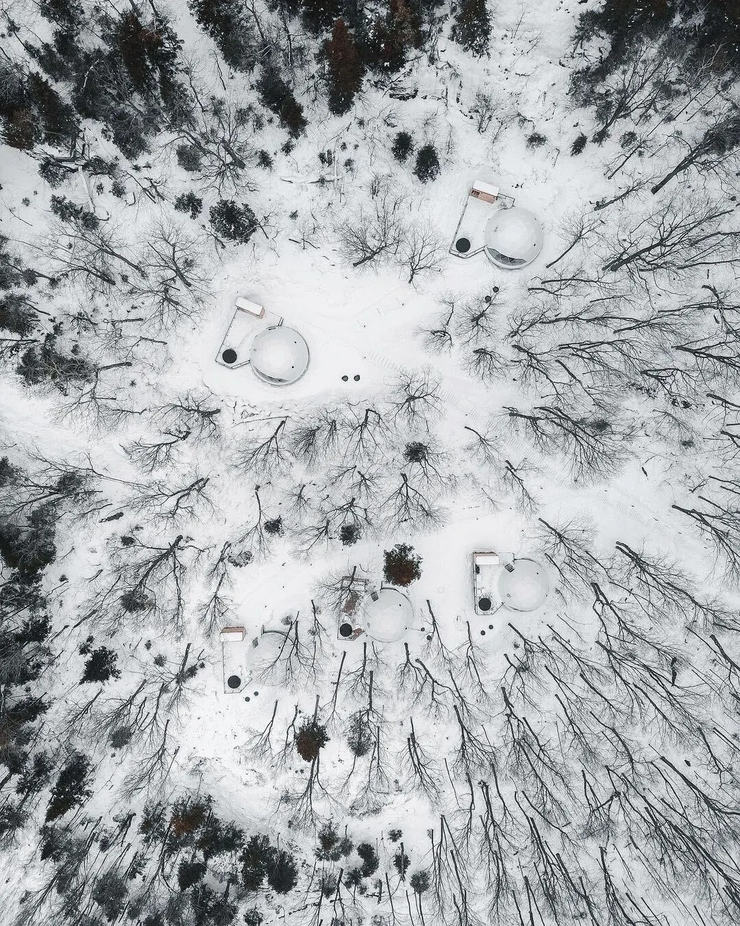 white domes in forest winter