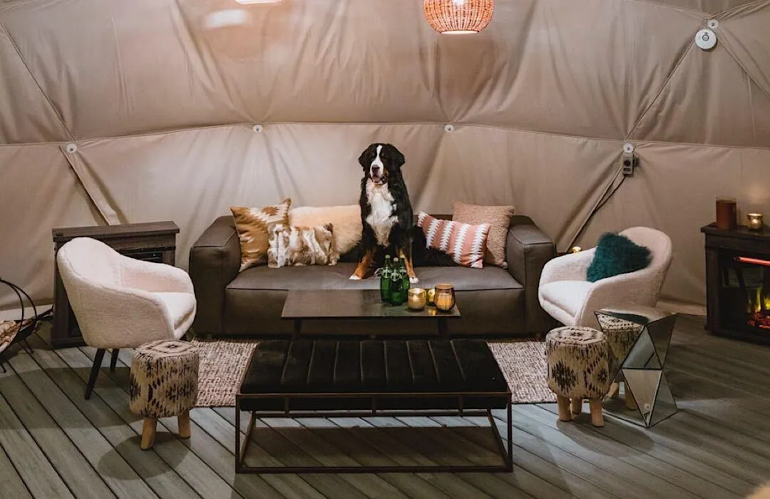 fdomes glamping dome interior dog